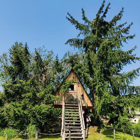 Вілла Zen Among The Trees Стаховиця Екстер'єр фото