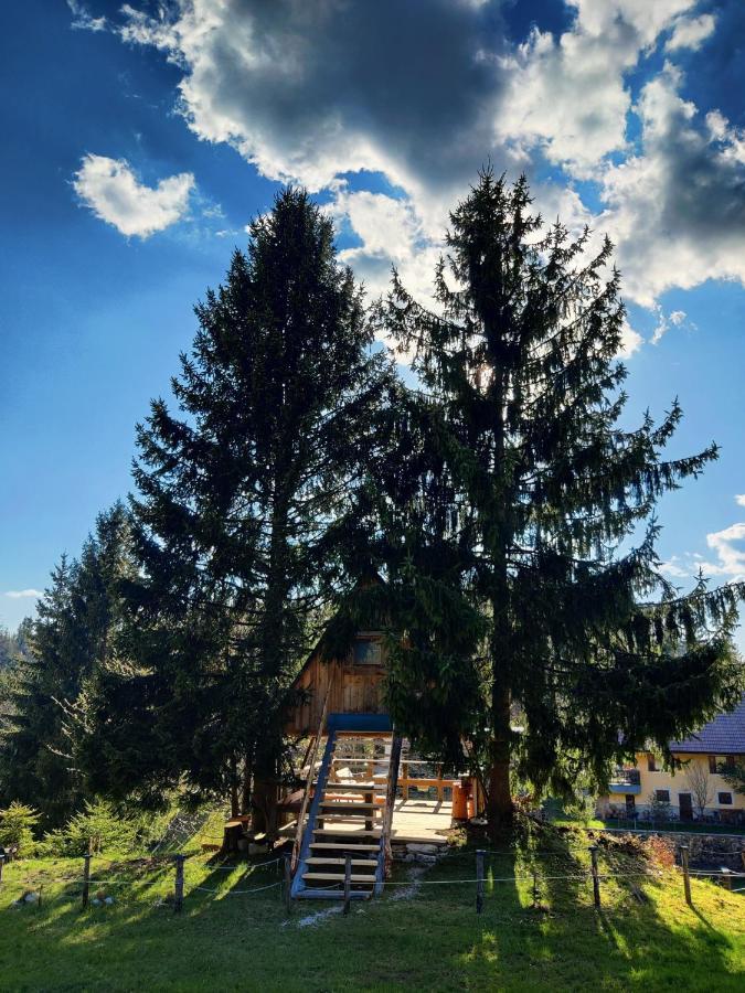 Вілла Zen Among The Trees Стаховиця Екстер'єр фото